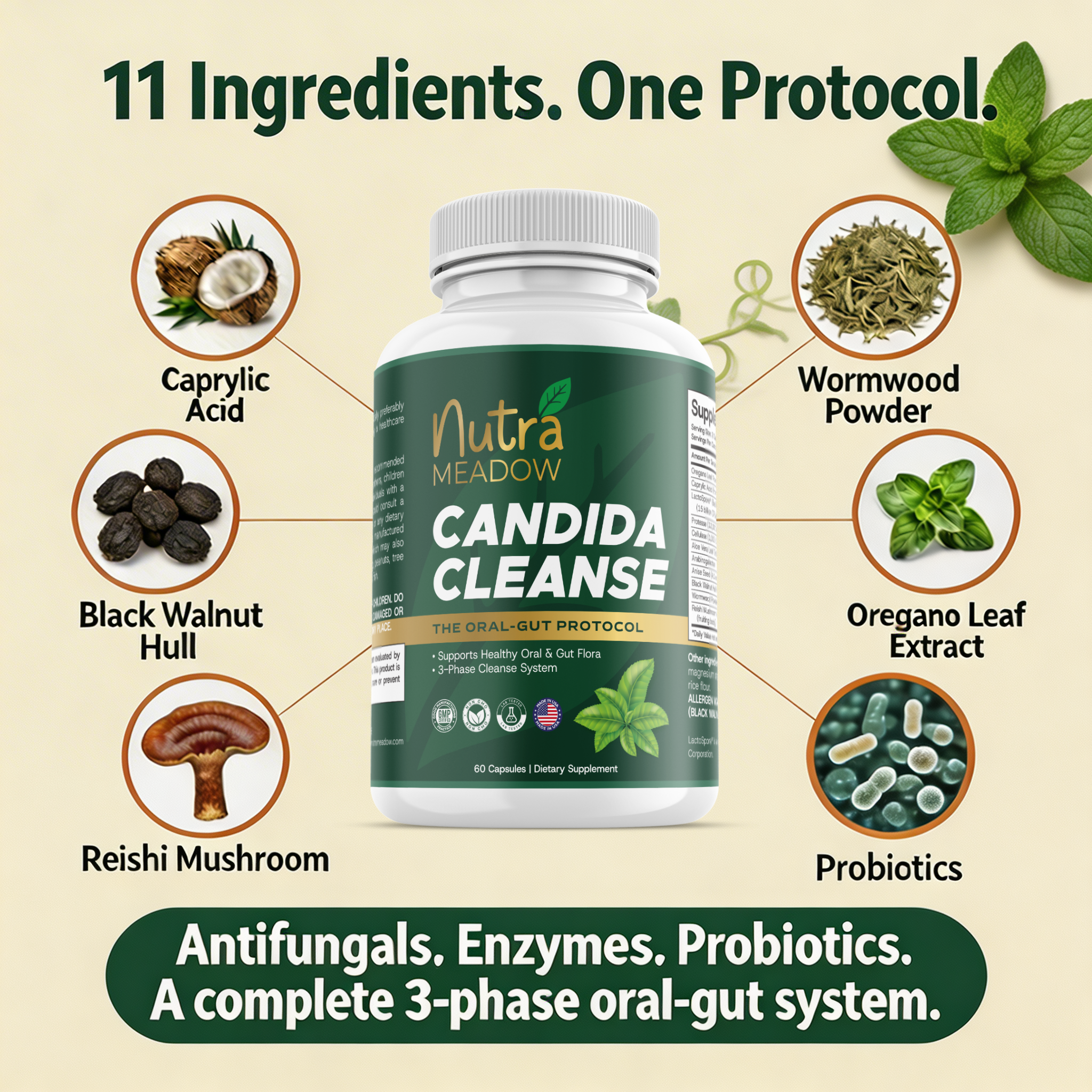 Candida Cleanse: Yeast Detox Kit
